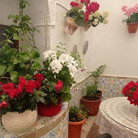 فيلا Casa Tipica De Pueblo Andaluz Villanueva de San Juan المظهر الخارجي الصورة
