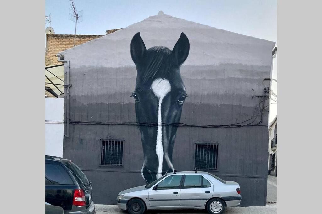 فيلا Casa Tipica De Pueblo Andaluz Villanueva de San Juan المظهر الخارجي الصورة