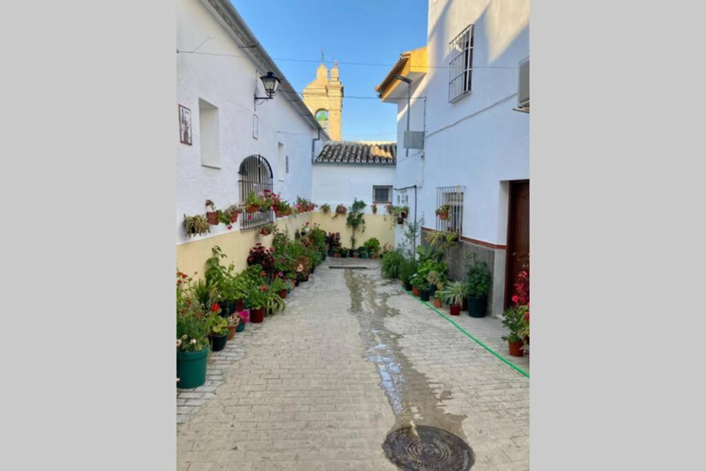 فيلا Casa Tipica De Pueblo Andaluz Villanueva de San Juan المظهر الخارجي الصورة
